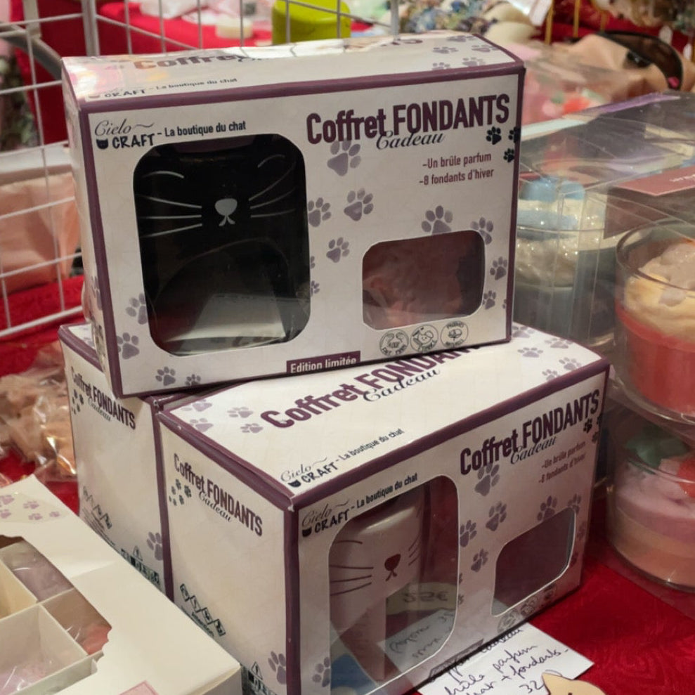Coffret fondants chat