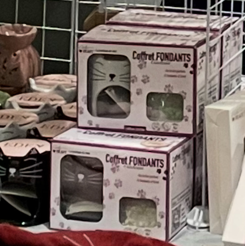 Coffret fondants chat